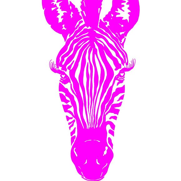 Vibrant Zebra Poster Pink, Red, Blue, Green/ Galantine or Valentine décor, 11x17 - Picture 3 of 13